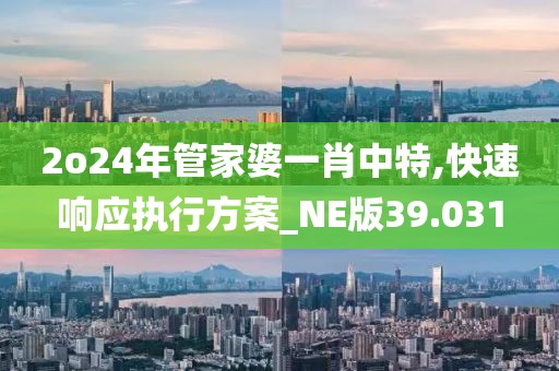 2o24年管家婆一肖中特,快速响应执行方案_NE版39.031
