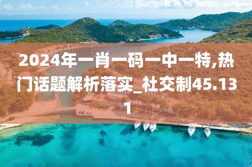 2024年一肖一码一中一特,热门话题解析落实_社交制45.131