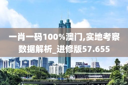 一肖一码100%澳门,实地考察数据解析_进修版57.655