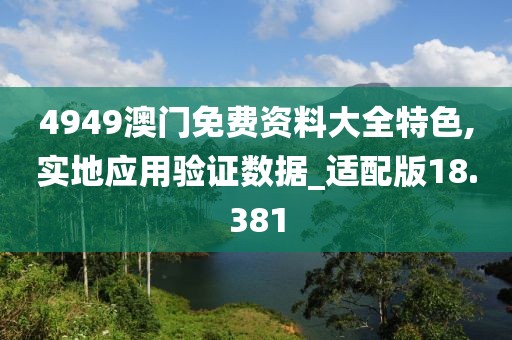 4949澳门免费资料大全特色,实地应用验证数据_适配版18.381