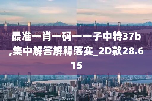 最准一肖一码一一子中特37b,集中解答解释落实_2D款28.615