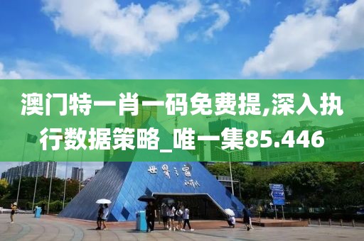 澳门特一肖一码免费提,深入执行数据策略_唯一集85.446
