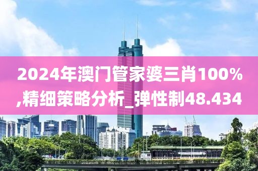 2024年澳门管家婆三肖100%,精细策略分析_弹性制48.434