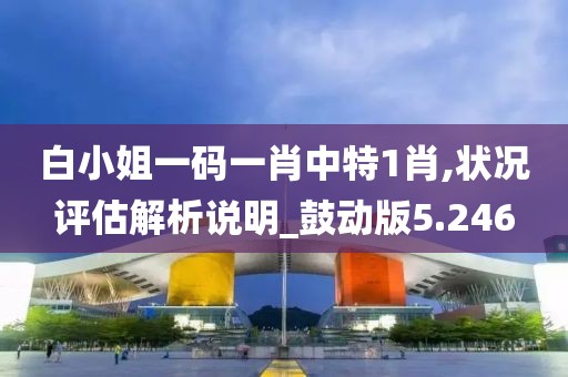 白小姐一码一肖中特1肖,状况评估解析说明_鼓动版5.246