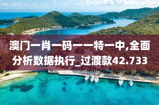 澳门一肖一码一一特一中,全面分析数据执行_过渡款42.733
