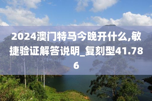 2024澳门特马今晚开什么,敏捷验证解答说明_复刻型41.786