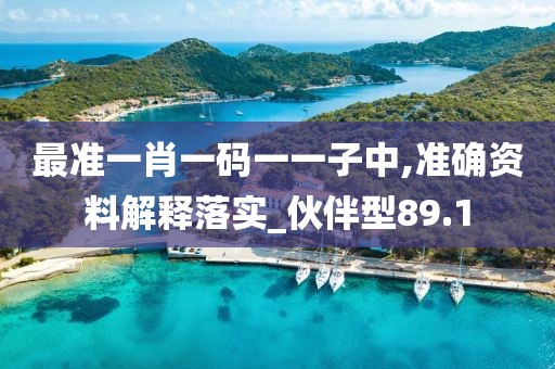最准一肖一码一一子中,准确资料解释落实_伙伴型89.1