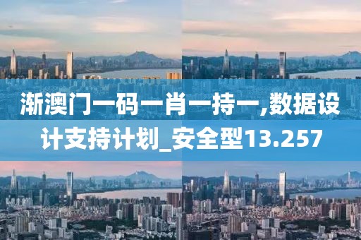 渐澳门一码一肖一持一,数据设计支持计划_安全型13.257