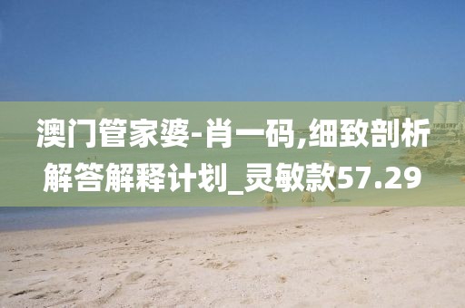 澳门管家婆-肖一码,细致剖析解答解释计划_灵敏款57.29