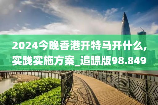 2024今晚香港开特马开什么,实践实施方案_追踪版98.849