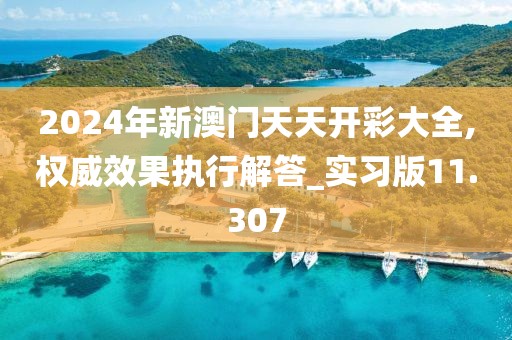 2024年新澳门天天开彩大全,权威效果执行解答_实习版11.307