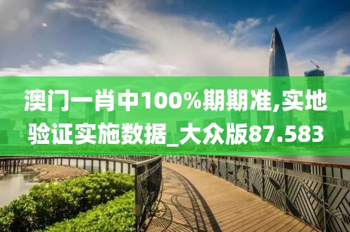 澳门一肖中100%期期准,实地验证实施数据_大众版87.583