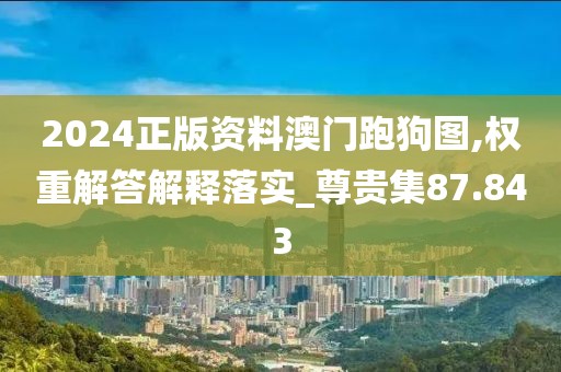 2024正版资料澳门跑狗图,权重解答解释落实_尊贵集87.843