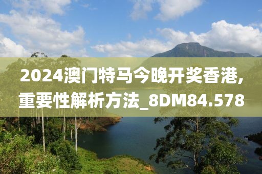 2024澳门特马今晚开奖香港,重要性解析方法_8DM84.578