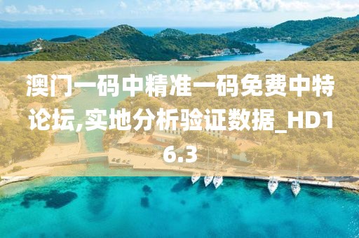 澳门一码中精准一码免费中特论坛,实地分析验证数据_HD16.3