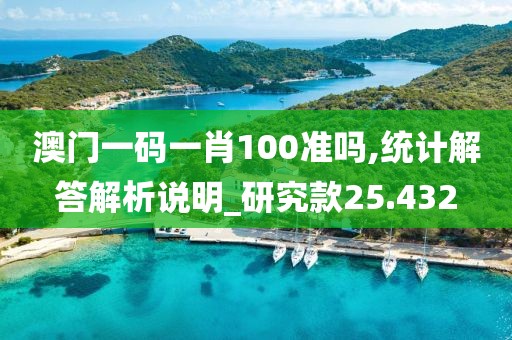 澳门一码一肖100准吗,统计解答解析说明_研究款25.432