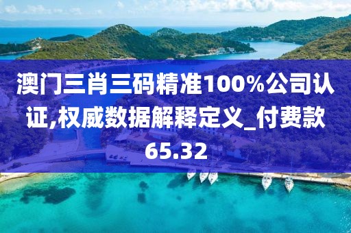 澳门三肖三码精准100%公司认证,权威数据解释定义_付费款65.32