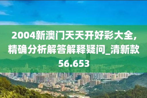 2004新澳门天天开好彩大全,精确分析解答解释疑问_清新款56.653
