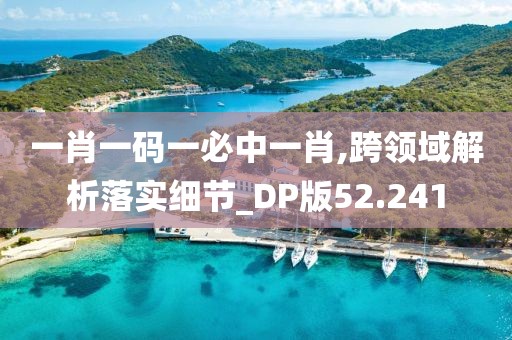 一肖一码一必中一肖,跨领域解析落实细节_DP版52.241