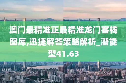 澳门最精准正最精准龙门客栈图库,迅捷解答策略解析_潜能型41.63