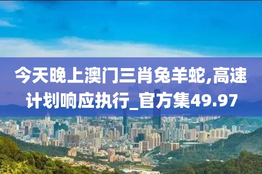 今天晚上澳门三肖兔羊蛇,高速计划响应执行_官方集49.97
