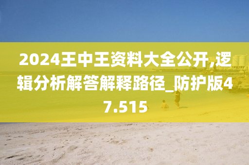 2024王中王资料大全公开,逻辑分析解答解释路径_防护版47.515