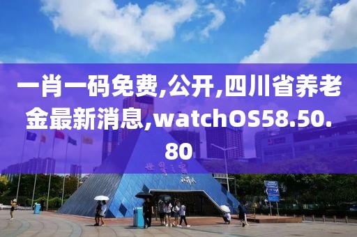 科目三 第606页