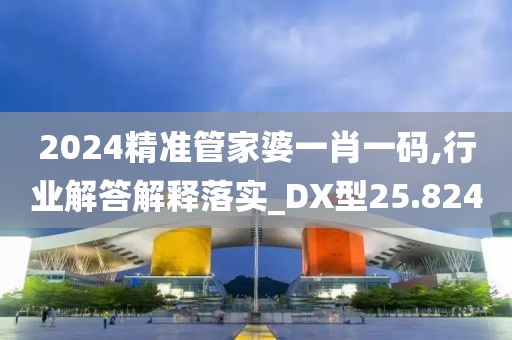 2024精准管家婆一肖一码,行业解答解释落实_DX型25.824