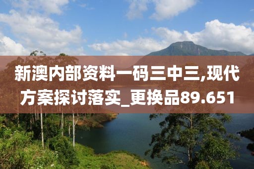 新澳内部资料一码三中三,现代方案探讨落实_更换品89.651
