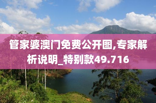 管家婆澳门免费公开图,专家解析说明_特别款49.716