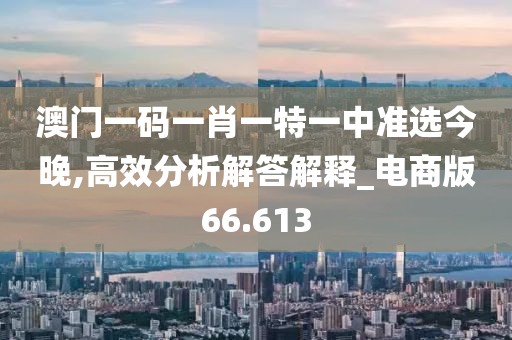 澳门一码一肖一特一中准选今晚,高效分析解答解释_电商版66.613