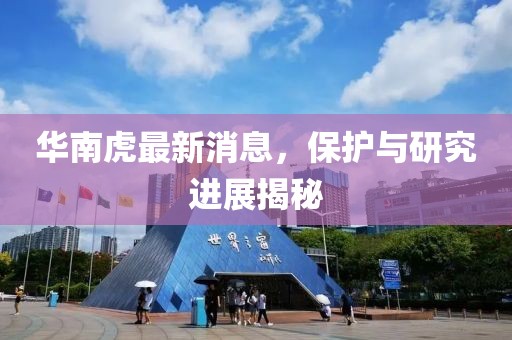 十里红尘 第31页