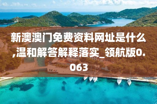 新澳澳门免费资料网址是什么,温和解答解释落实_领航版0.063