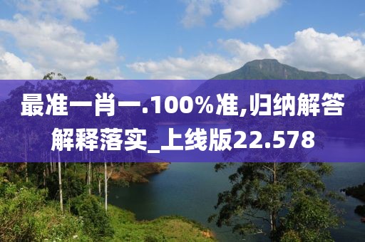 最准一肖一.100%准,归纳解答解释落实_上线版22.578