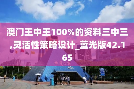 澳门王中王100%的资料三中三,灵活性策略设计_蓝光版42.165