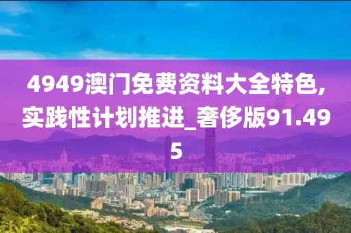 4949澳门免费资料大全特色,实践性计划推进_奢侈版91.495