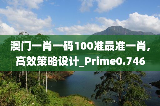 澳门一肖一码100准最准一肖,高效策略设计_Prime0.746