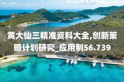 黄大仙三精准资料大全,创新策略计划研究_应用制56.739