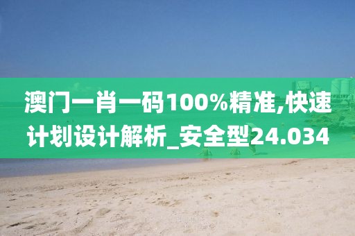 澳门一肖一码100%精准,快速计划设计解析_安全型24.034