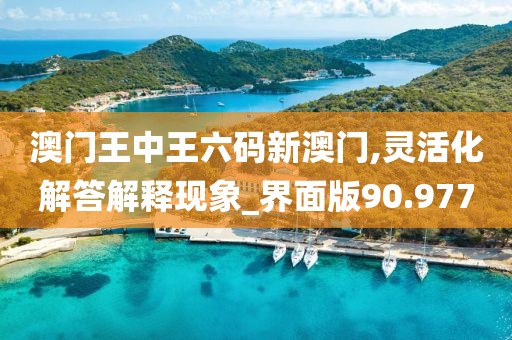 澳门王中王六码新澳门,灵活化解答解释现象_界面版90.977