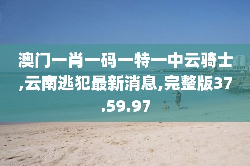 汽车陪练 第616页