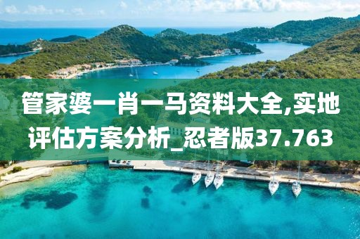 管家婆一肖一马资料大全,实地评估方案分析_忍者版37.763