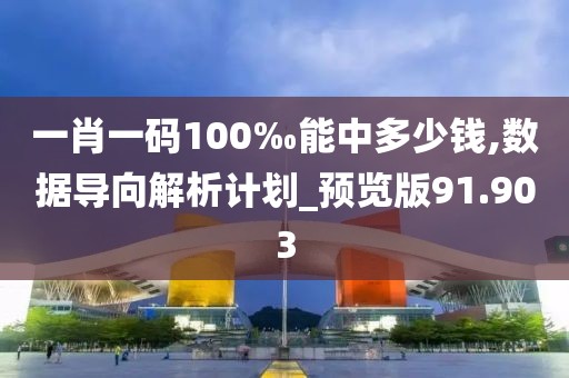 一肖一码100‰能中多少钱,数据导向解析计划_预览版91.903