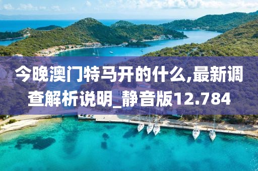 今晚澳门特马开的什么,最新调查解析说明_静音版12.784