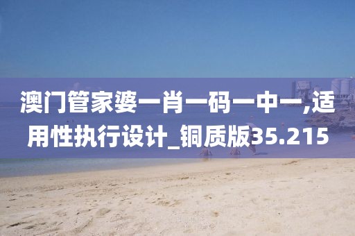 澳门管家婆一肖一码一中一,适用性执行设计_铜质版35.215