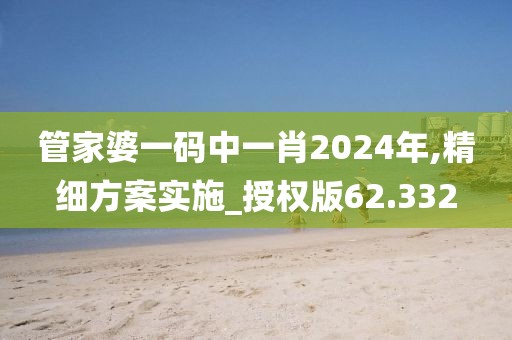 管家婆一码中一肖2024年,精细方案实施_授权版62.332