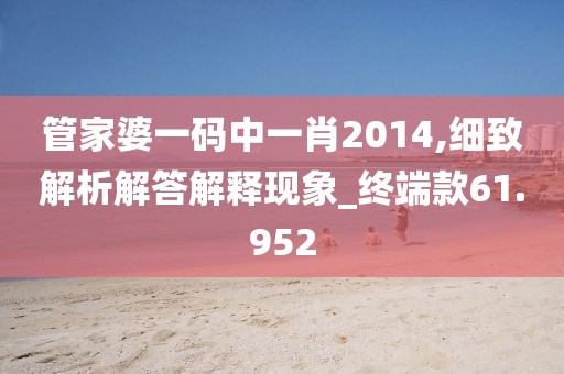 管家婆一码中一肖2014,细致解析解答解释现象_终端款61.952