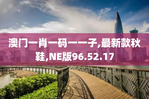 澳门一肖一码一一子,最新款秋鞋,NE版96.52.17
