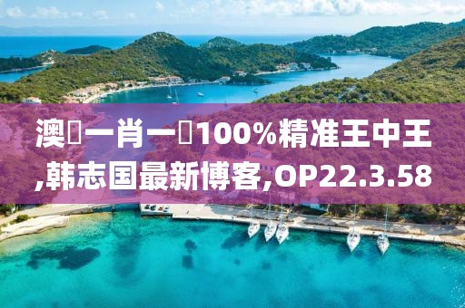 澳門一肖一碼100%精准王中王,韩志国最新博客,OP22.3.58