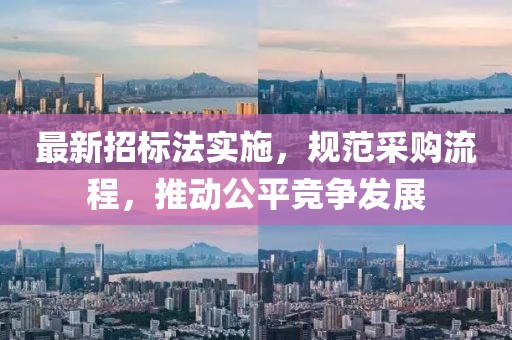 最新招标法实施，规范采购流程，推动公平竞争发展